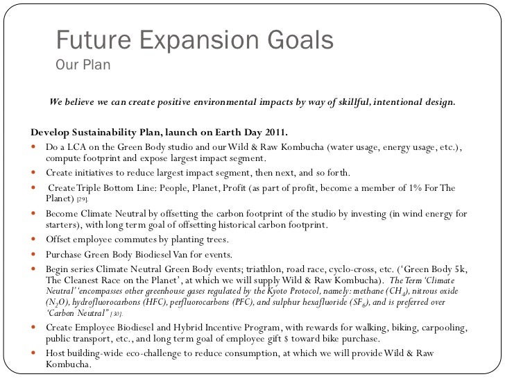 business expansion plan ppt business expansion strategy